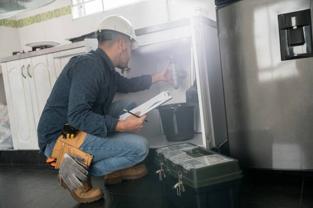 Best Plumbing Repair Near Me  in Sour Lake, TX