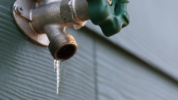 Best Commercial Plumbing Services  in Sour Lake, TX